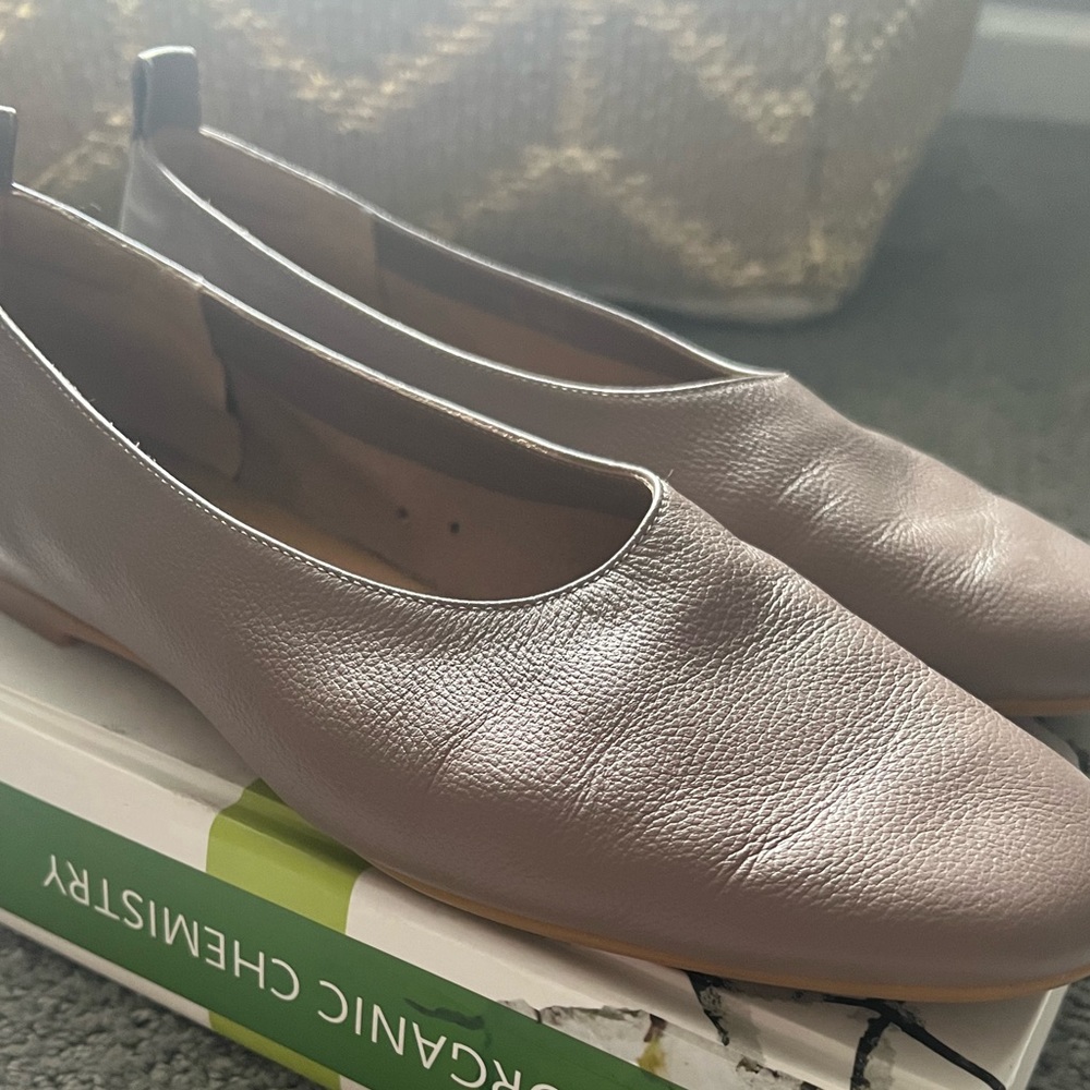 Everlane The Italian Leather Day Glove Shoe